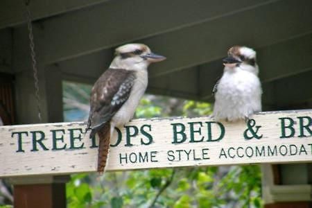 Treetops Bed & Breakfast Blackburn 外观 照片